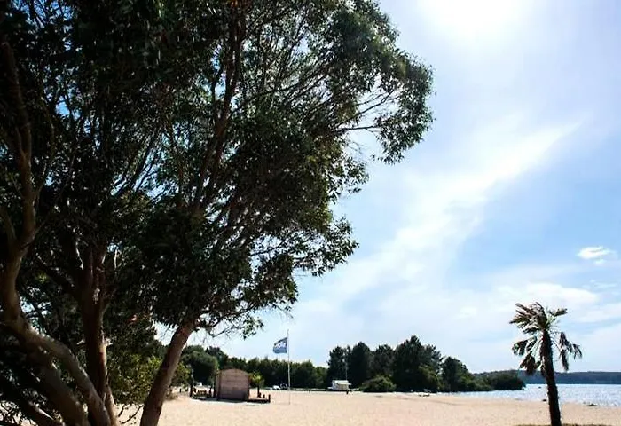 Cordon Lmp Camping Gastes